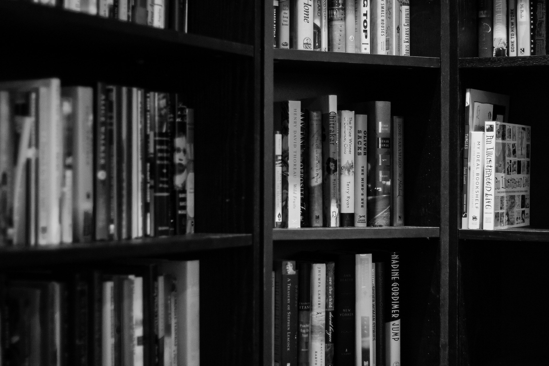 Bookshelves g78d85b401 1920